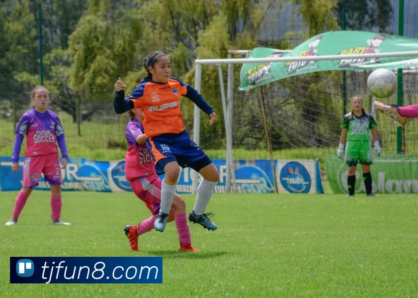 淘金娱乐城官网平台生态图